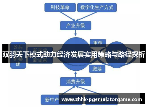 双羽天下模式助力经济发展实用策略与路径探析