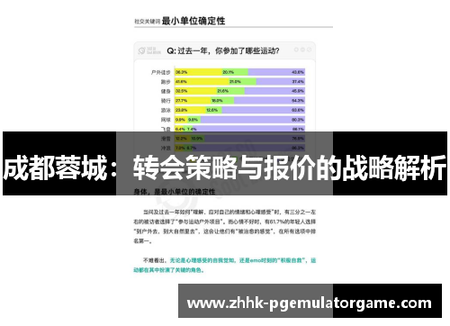 成都蓉城：转会策略与报价的战略解析
