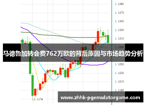 马德鲁加转会费762万欧的背后原因与市场趋势分析