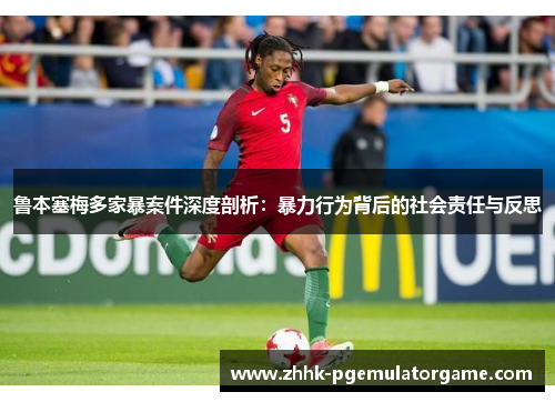 鲁本塞梅多家暴案件深度剖析：暴力行为背后的社会责任与反思