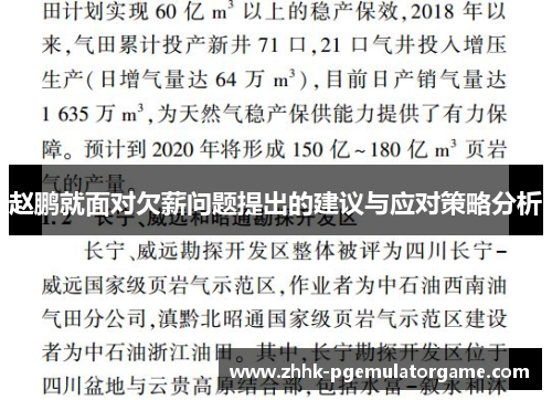赵鹏就面对欠薪问题提出的建议与应对策略分析