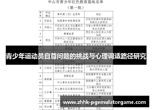青少年运动员自尊问题的挑战与心理调适路径研究