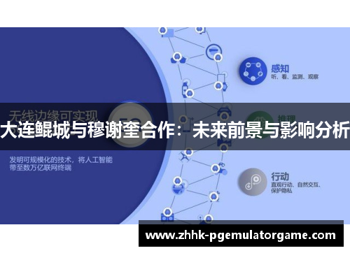 大连鲲城与穆谢奎合作：未来前景与影响分析