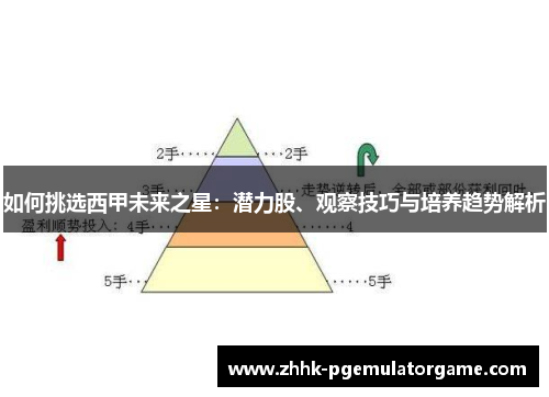 如何挑选西甲未来之星：潜力股、观察技巧与培养趋势解析