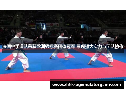 法国空手道队荣获欧洲锦标赛团体冠军 展现强大实力与团队协作